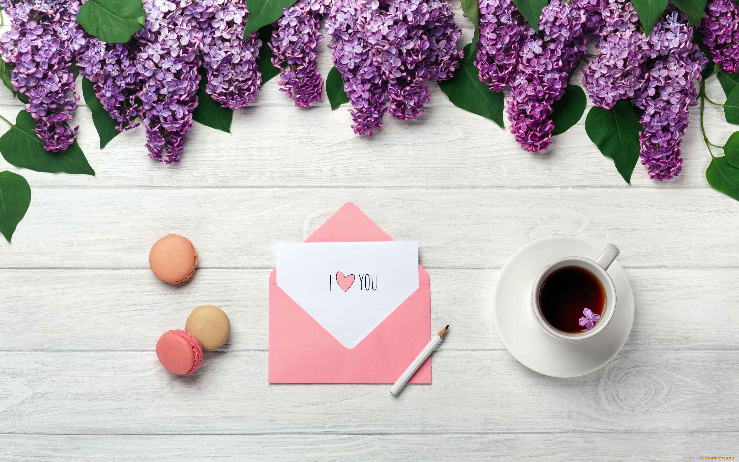 , ,   , , love, flowers, , romantic, coffee, cup, spring, purple, macarons, lilac, , 